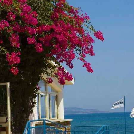 Club Village